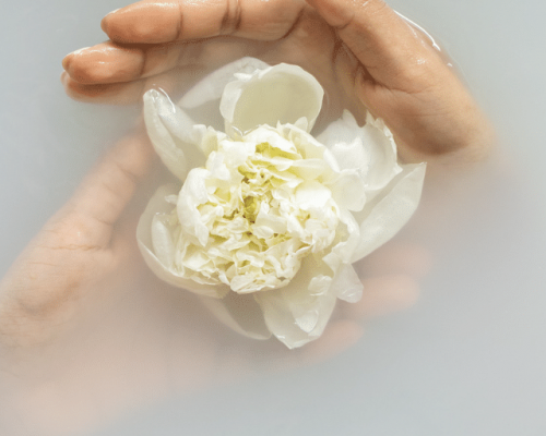 Spa Promotion Rotorua